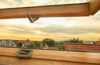 rated Lower Eastern Green roof window companies