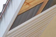 rated Lower Eastern Green soffit repair companies